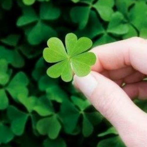 สมาชิกหมายเลข 3782811