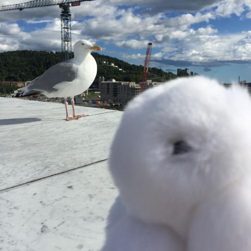 สมาชิกหมายเลข 4790579