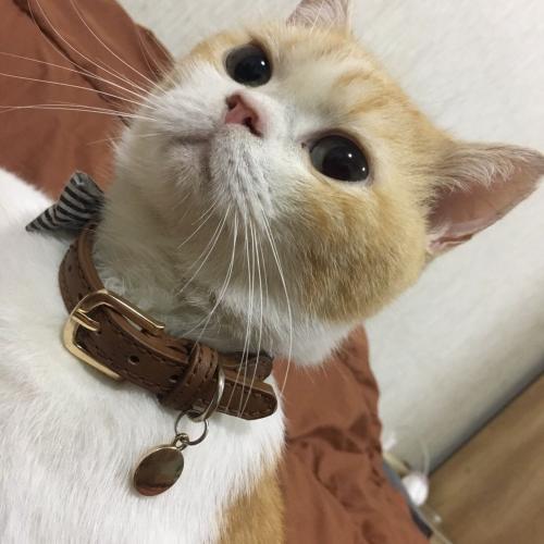 สมาชิกหมายเลข 1222253