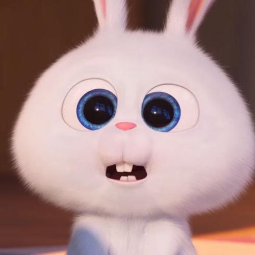 สมาชิกหมายเลข 5440381