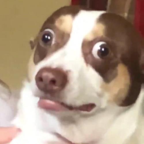 สมาชิกหมายเลข 1500377