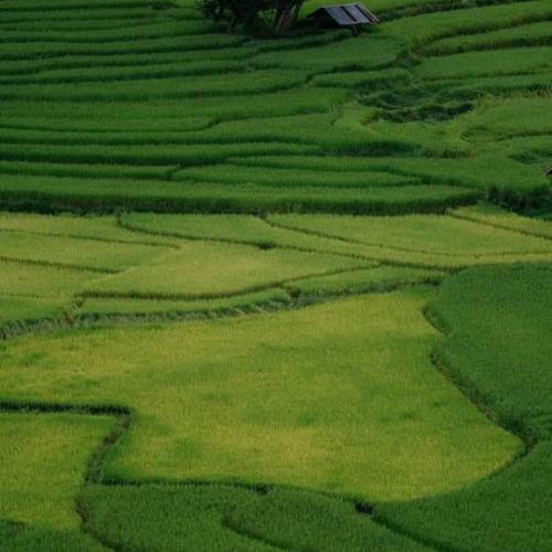 สมาชิกหมายเลข 6134014