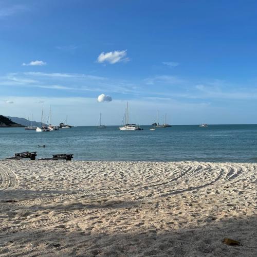 สมาชิกหมายเลข 6203175