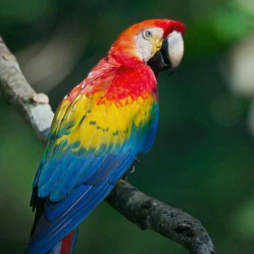 สมาชิกหมายเลข 6755940