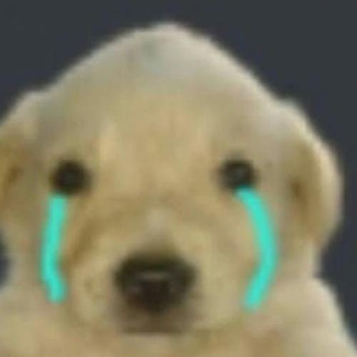 สมาชิกหมายเลข 5538898