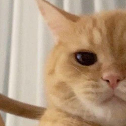 สมาชิกหมายเลข 7528018