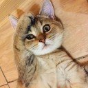 สมาชิกหมายเลข 3976030