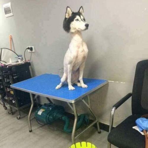 สมาชิกหมายเลข 4444783