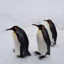 ความรัก แพ้ ความไม่รัก