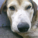 สมาชิกหมายเลข 820723