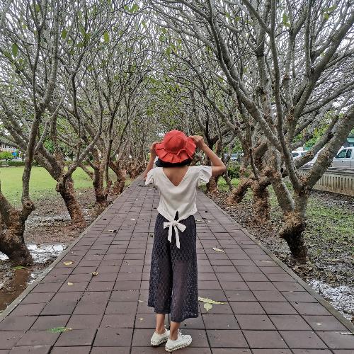 ผึ้งทิพย์สายอินดี้