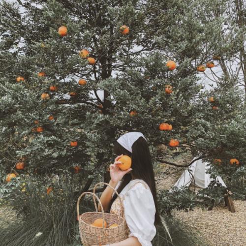 L O R R E ลออี้