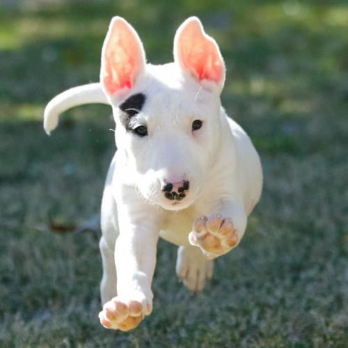 สมาชิกหมายเลข 6134510