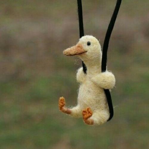 สมาชิกหมายเลข 6134679