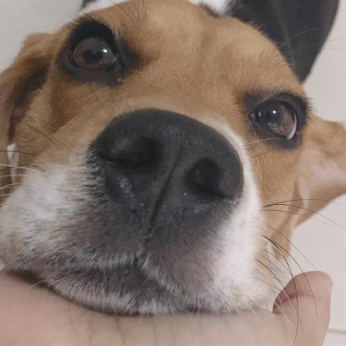 สมาชิกหมายเลข 2760351