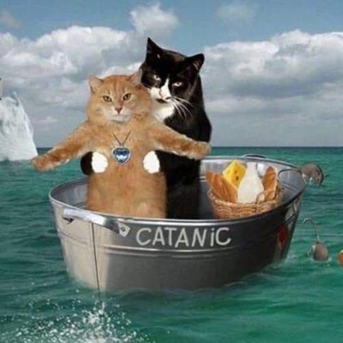 สมาชิกหมายเลข 6415204