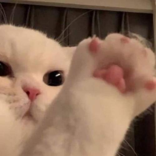 สมาชิกหมายเลข 6754592