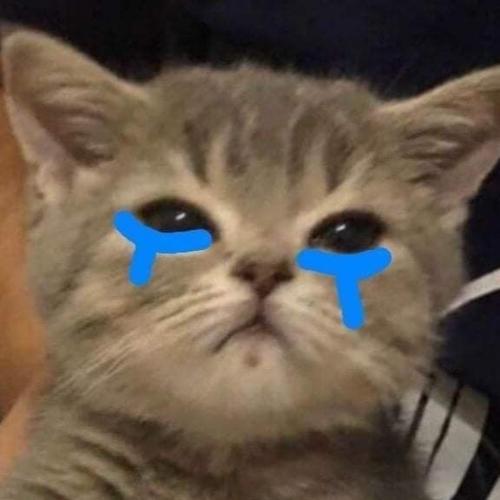 สมาชิกหมายเลข 6115224