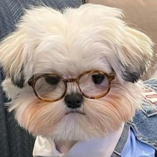 สมาชิกหมายเลข 5346233