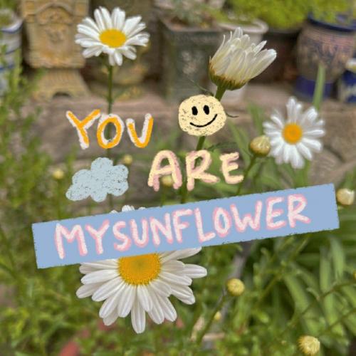 สมาชิกหมายเลข 7186680