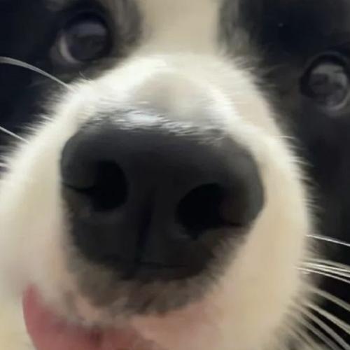 สมาชิกหมายเลข 8437393