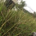 สมาชิกหมายเลข 3976828