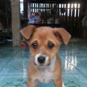 สมาชิกหมายเลข 4450359