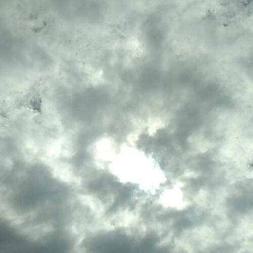 สมาชิกหมายเลข 4791124