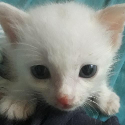 สมาชิกหมายเลข 5574925