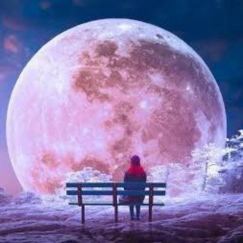 สมาชิกหมายเลข 1906064