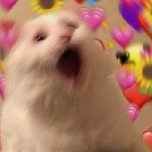 สมาชิกหมายเลข 5828883