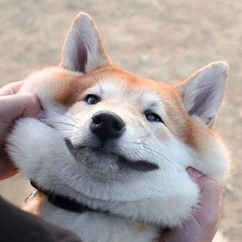 สมาชิกหมายเลข 6134119