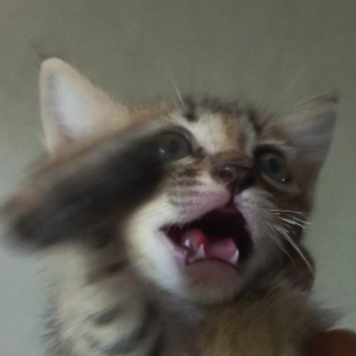 สมาชิกหมายเลข 6761698