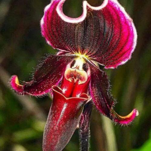 สมาชิกหมายเลข 5038844