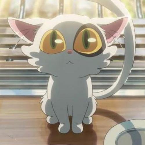 สมาชิกหมายเลข 7529277