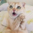 สมาชิกหมายเลข 3746903