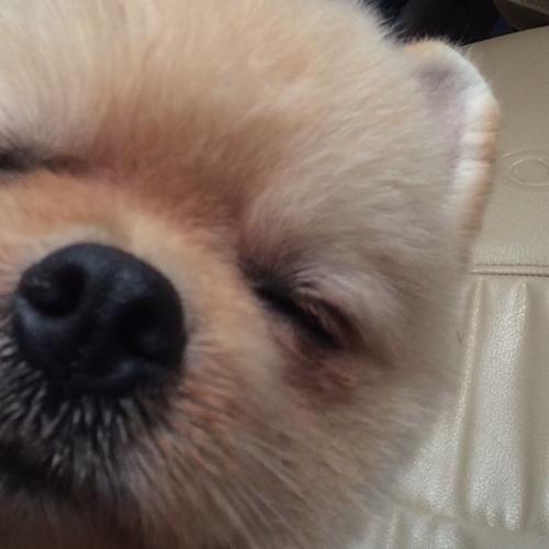 สมาชิกหมายเลข 4715427