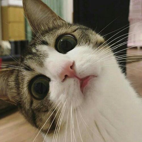 สมาชิกหมายเลข 5170494