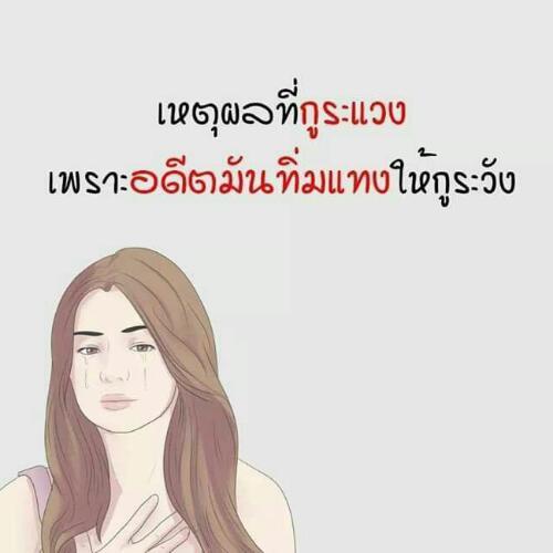 สมาชิกหมายเลข 2952074