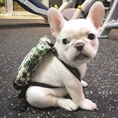 สมาชิกหมายเลข 5575702