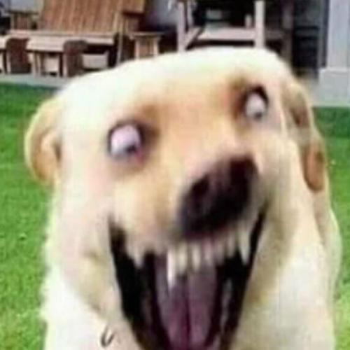 สมาชิกหมายเลข 3668617