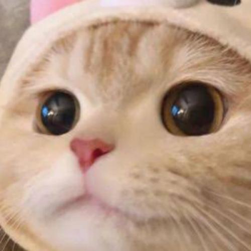 สมาชิกหมายเลข 3443495