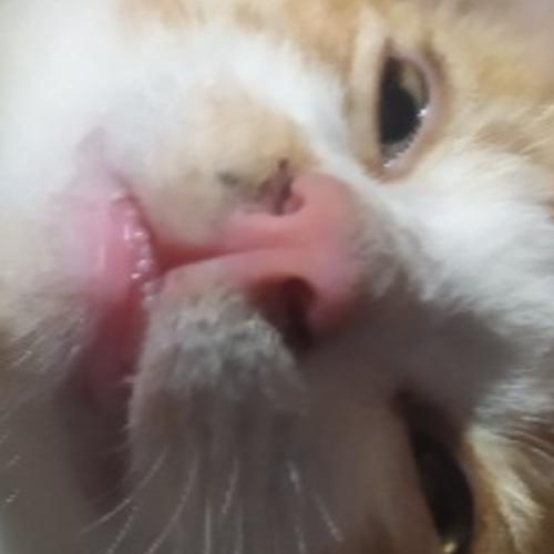 สมาชิกหมายเลข 5832636