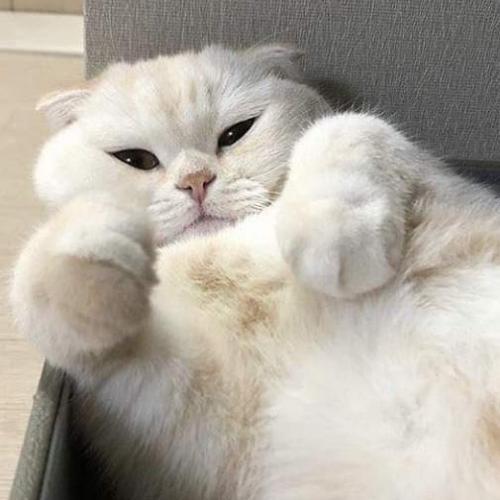 สมาชิกหมายเลข 6761914