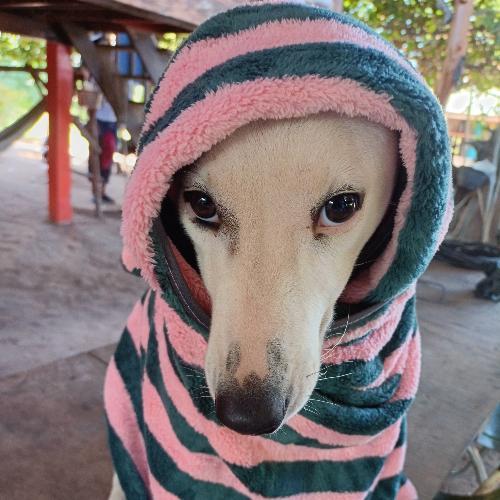 สมาชิกหมายเลข 6762260