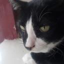 สมาชิกหมายเลข 3977035