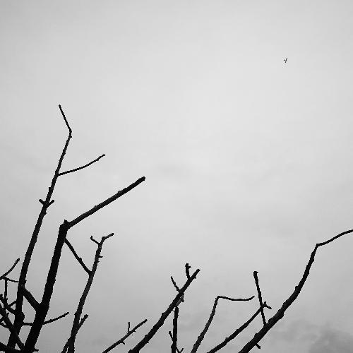 สมาชิกหมายเลข 4791691