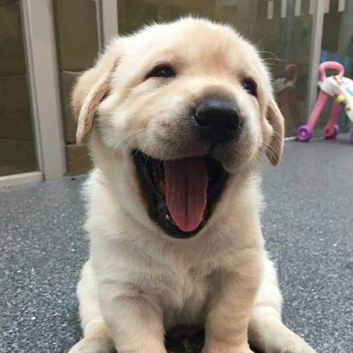 สมาชิกหมายเลข 5154834