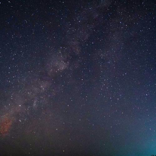 สมาชิกหมายเลข 5169859