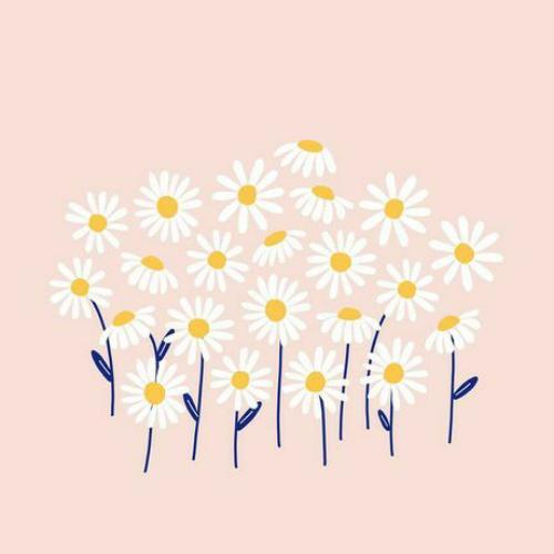 สมาชิกหมายเลข 6136420